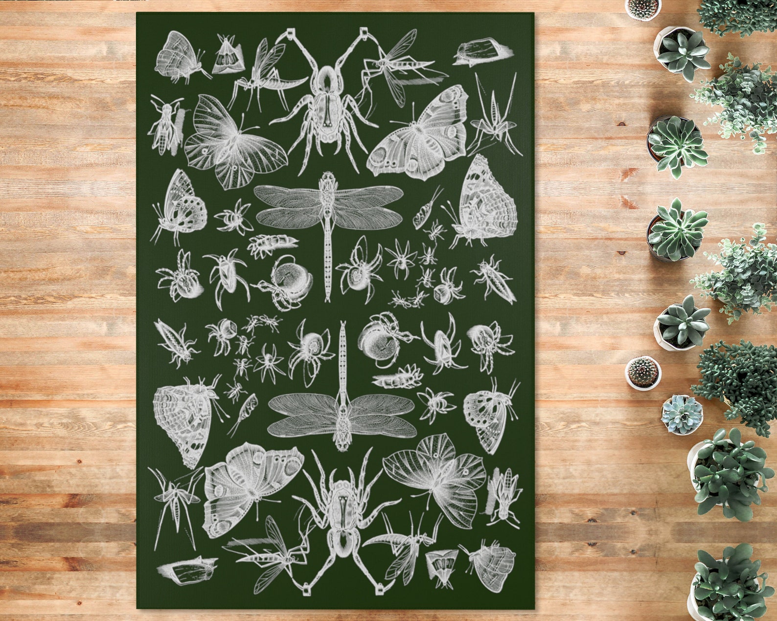 Moth Area Rug Insects and Moths Rug Forest Witch Butterfly Dragonfly Spider Carpet ...