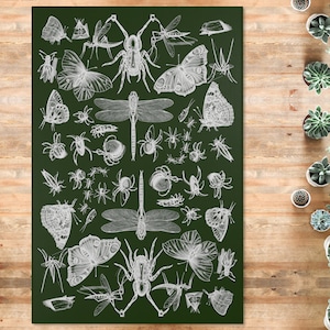 Insects and Moths Rug Forest Witch Butterfly Dragonfly Spider Carpet Biology Entomology Green Floor Mat Gothic Wiccan Grunge Tarot Area Rug