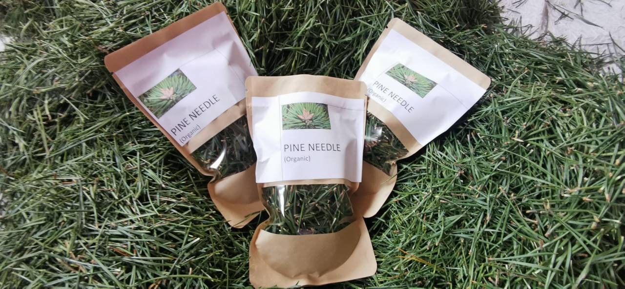 Organic Pine Needle | Wild and Pure, Suramin and Shikimic acid | MAGI…