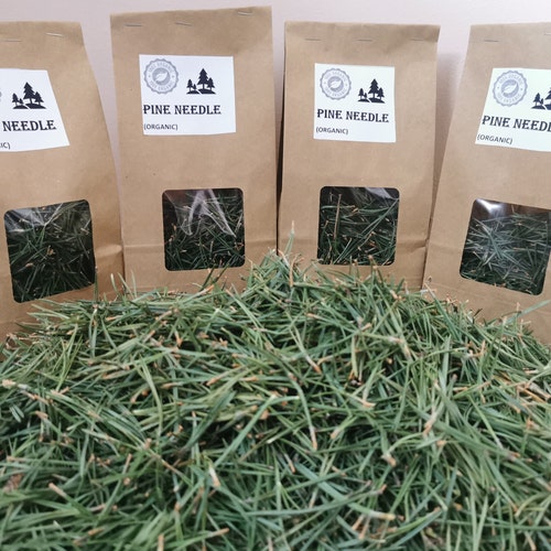 Organic Pine Needle Tea Pine Needles for Tea Fresh Pine Etsy