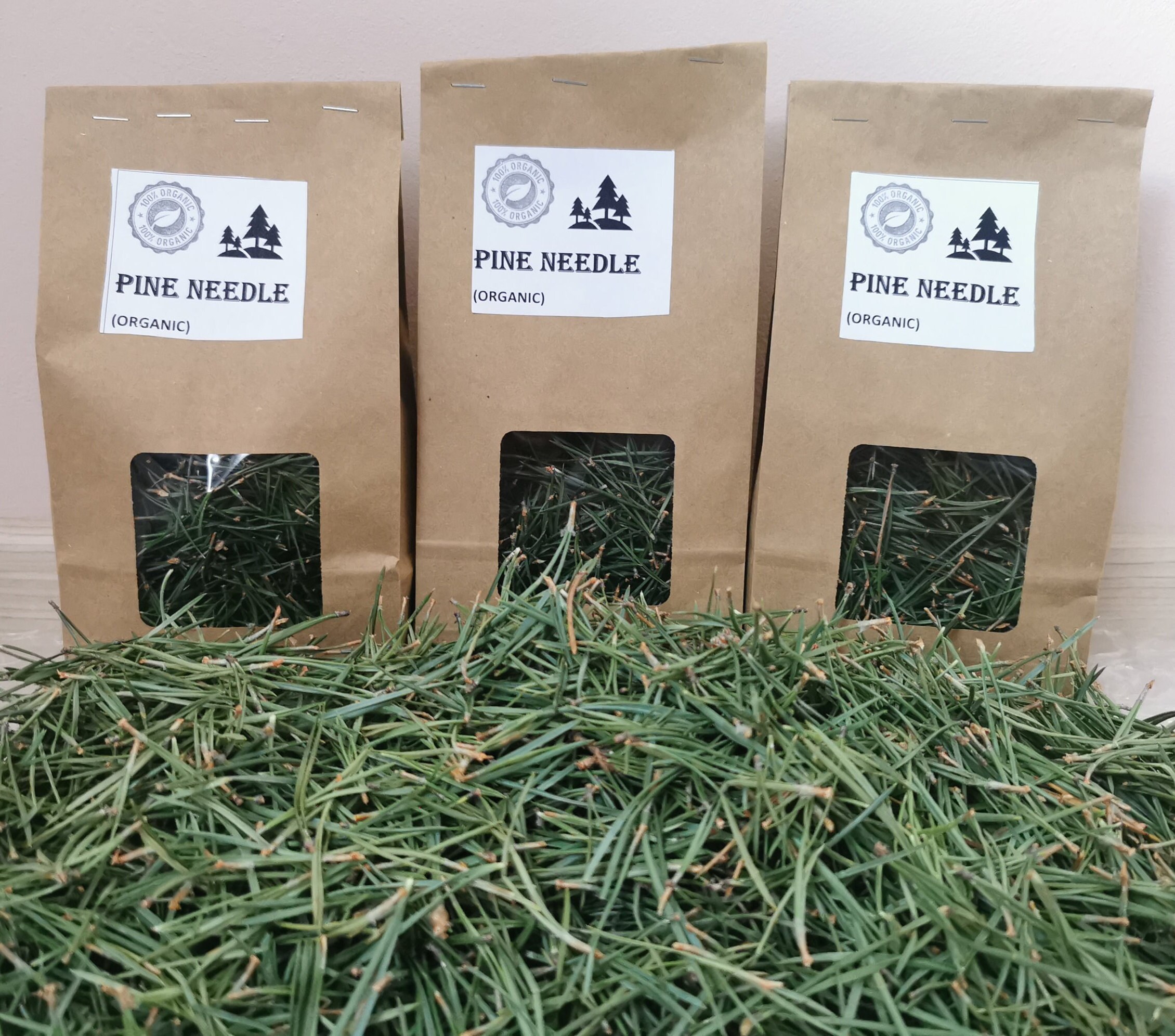 Organic White Pine Needle Tea Fresh Pine Needles for Tea Etsy
