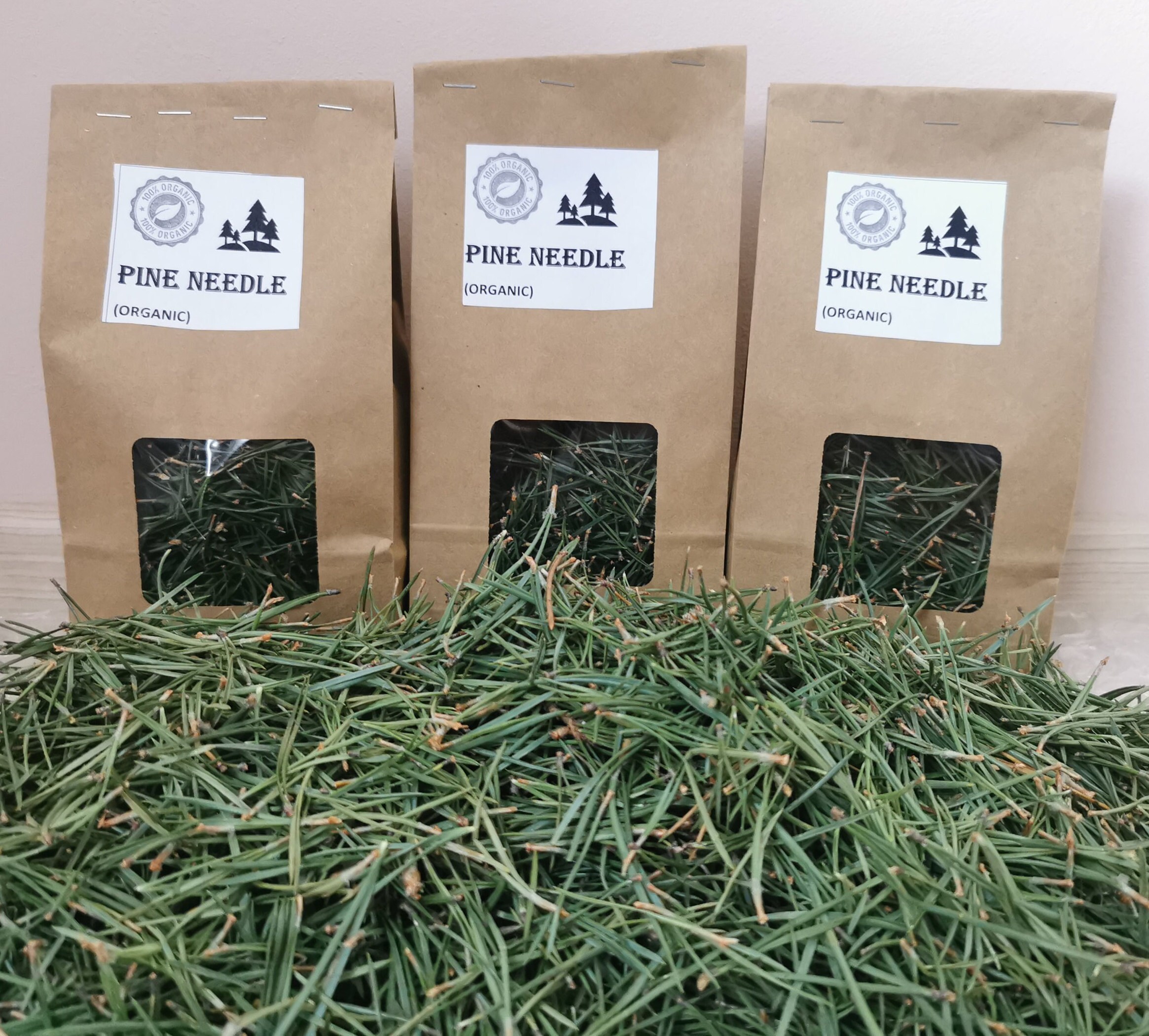 Organic White Pine Needle Tea Fresh Pine Needles for Tea Etsy