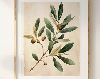 Vintage Olive Branch Watercolor – Mediterranean Botanical Wall Art Print