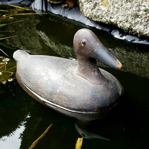 Vintage duck decoy -a charming early to mid 20th Century carved wooden duck decoy model, brown duck with black bill, no shot damage.