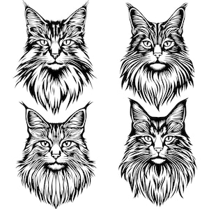 Bundle Svg de chat Maine Coon, clipart chat, chat coupé des fichiers pour Cricut, Svg pelucheux chat, Svg de chat Maine Coon, Svg des amoureux des chats