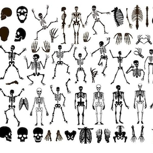 SKELET SVG, skelet Svg bundel, skelet clipart, skelet gesneden bestanden voor Cricut, Halloween SVG