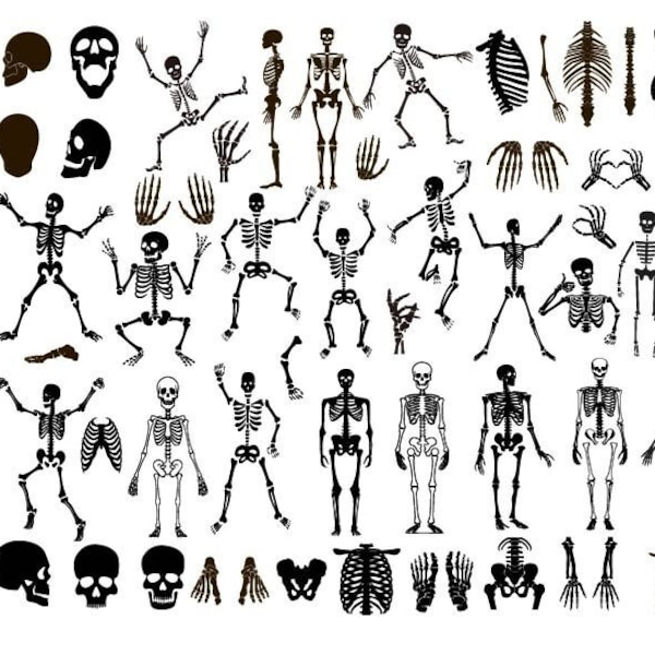 SKELETON SVG, Skeleton Svg Bundle, Skeleton Clipart, Skeleton Cut Files For Cricut, Halloween Svg