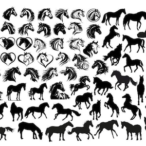 PFERD BUNDLE SVG, Pferd SVG, Pferd Clipart, Pferd Silhouette, Pferd Png, Pferdekopf SVG, Pferd geschnitten Datei, Tier svg