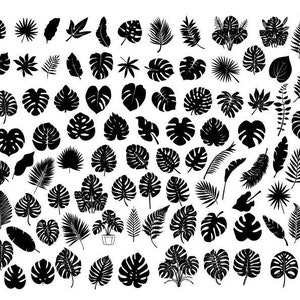 Hojas tropicales Svg, Monstera Clipart, Monstera SVG Bundle Tropical Leaf, Monstera Silhouette Svg, Tropical Leaves Svg archivos para Cricut