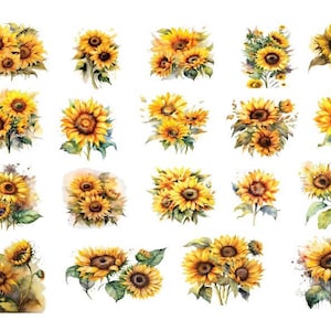 Aquarelle tournesol des cliparts, Png tournesol, tournesol des cliparts, des cliparts fleurs Boho, des cliparts fleurs d'été