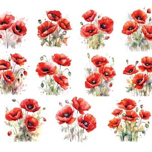 CLIPART DE AMAPOLAS DE ACUARELA, Flores de Amapola Png, Imágenes Prediseñadas de Flores de Amapola, Flores de Amapola de Acuarela Png, Flores de Acuarela Png