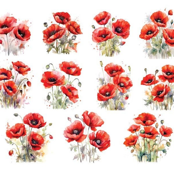 WATERCOLOR POPPIES CLIPART, Poppy Flowers Png, Poppy Flowers Clipart, Watercolor Poppy Flowers Png, Watercolor Flowers Png