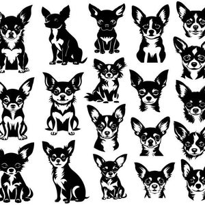 Chihuahua Bundle SVG, Chihuahua Clipart, Chihuahua Cut File, Chihuahua Silhouette, Chihuahua SVG, Dog Svg , Dog Lover Svg