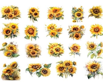 Aquarell Sonnenblume Clipart, Sonnenblume Png, Sonnenblume Clipart, Boho Blumen Clipart, Sommer Blumen Clipart