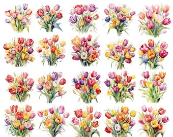 Watercolor Tulips Clipart, Spring Clipart Png, Tulips Clipart Bundle, Spring Flowers Png, Floral Clipart