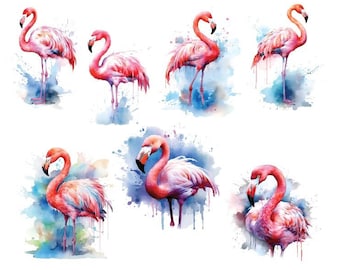 WASSERFARBE FLAMINGO PNG, Aquarell Flamingo Clipart, Flamingo Clipart, Tropische Vögel Png, rosa Flamingo Png