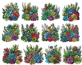 May include: Twelve colorful illustrations of succulent plants in various arrangements. Each illustration features a variety of succulent species with different shapes, sizes, and colors, including green, pink, red, and purple.