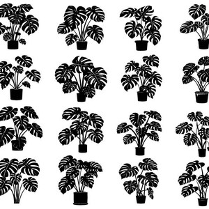 Op de afbeelding: Een set van 16 zwart-wit silhouet illustraties van monstera planten in potten. De planten worden in verschillende poses en maten getoond.