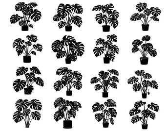 モンステラ植物 SVG、モンステラ クリップアート、クリカット用モンステラ カット ファイル、熱帯の葉 SVG、鉢植えのモンステラ SVG