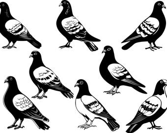 Pigeon Bundle Svg, Pigeon Clipart, Pigeon Cut Files For Cricut, Bird Svg, Pigeon Vector