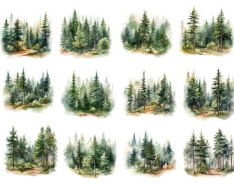Watercolor Pine Forest, Watercolor Forest Tree Clipart, Pine Tree Png, Misty Pine Forest Clipart