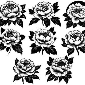 Pfingstrose SVG Bundle, Pfingstrose Clipart, Pfingstrose Schnittdateien für Cricut, Pfingstrose Vektor, Blumen svg