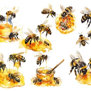Aquarel honing clipart, honingbij clipart, honingraat illustraties, aquarel honingbij clipart