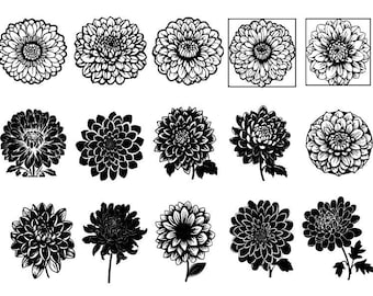 Könnte beinhalten: Ein Satz von 12 Schwarz-Weiß-Silhouettenillustrationen von Chrysanthemen. Die Blumen befinden sich in verschiedenen Blühstadien und sind kreisförmig angeordnet.