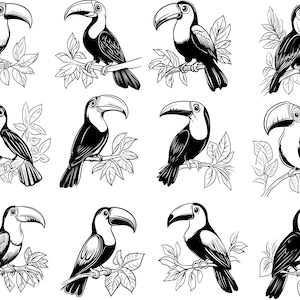 May include: A set of ten black and white illustrations of toucans perched on branches. The toucans are depicted in various poses, with their beaks open and closed. The illustrations are set against a white background.