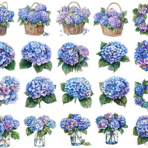 Watercolor Blue Hydrangea, Hydrangea Flower Clipart, Hydrangea Clipart Png, Watercolor Flowers