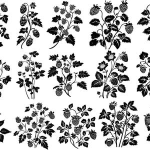 May include: Black and white illustrations of strawberry plants. Each plant features detailed leaves, flowers, and ripe strawberries. The designs vary in arrangement, showcasing different stages of growth and plant structures. Ideal for crafting or design projects.