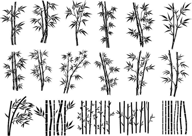 Puede incluir: Un conjunto de 18 ilustraciones en blanco y negro de plantas de bamb&uacute; en varios estilos. Las ilustraciones incluyen tallos individuales, grupos de tallos y bosques de bamb&uacute;.