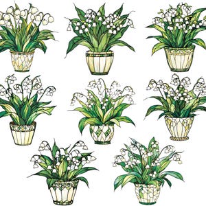 Aquarelle de muguet, fleurs de vitrail, clipart de muguet, fleurs blanches des cliparts