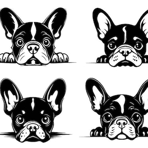 Spähende Französische Bulldogge SVG, Französische Bulldogge Clipart, Französische Bulldogge Schnittdateien für Cricut, Süßer Hund