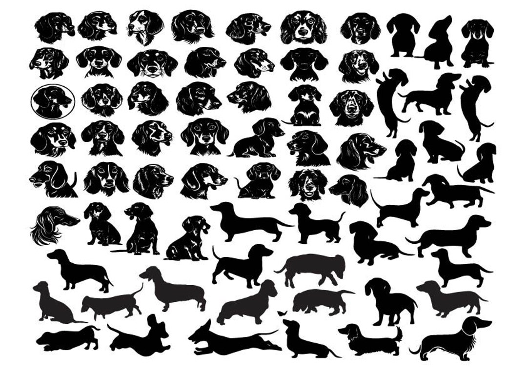 Dachshund SVG Bundle, Dachshund Png Bundle, Dachshund Clipart