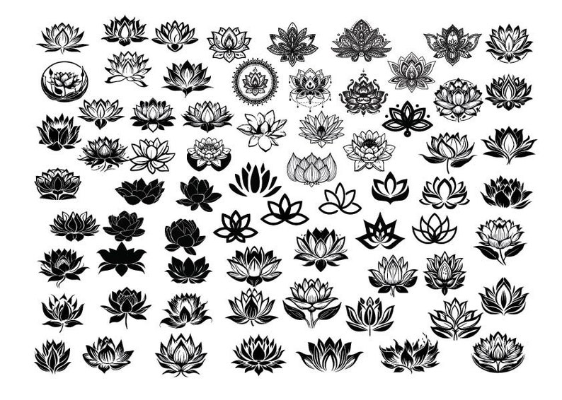 Puede incluir: Una colecci&oacute;n de 50 ilustraciones de flores de loto en blanco y negro. Las flores de loto est&aacute;n en varias poses y estilos, incluyendo abiertas, cerradas y estilizadas.