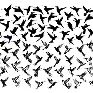 Colibri SVG, Colibri Bundle Svg, Colibri Clipart, Colibri coupé fichiers Cricut, Colibri vecteur, oiseau Svg