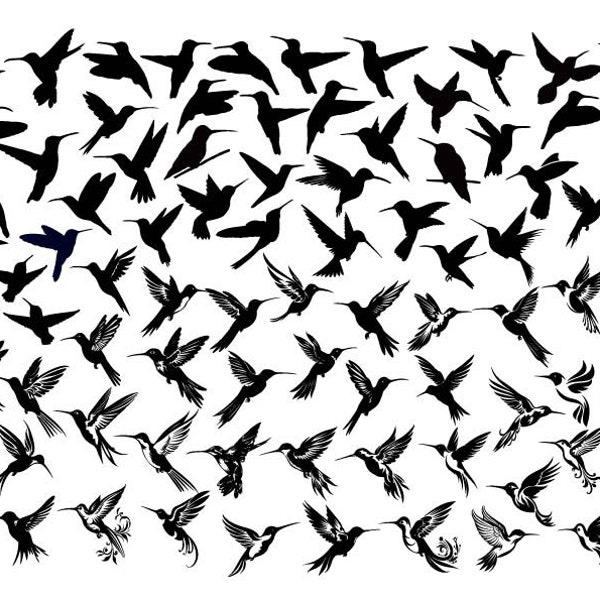 Hummingbird SVG, Hummingbird Bundle Svg, Hummingbird Clipart, Hummingbird Cut Files Cricut, Hummingbird Vector, Bird Svg