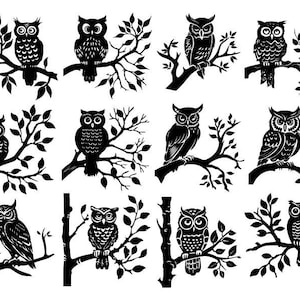 Eulen-Svg-Bundle, Eulen-Clipart, süße Eulen-Svg, Eulen-Schnittdateien für Cricut, Eulen-Vektorgrafik