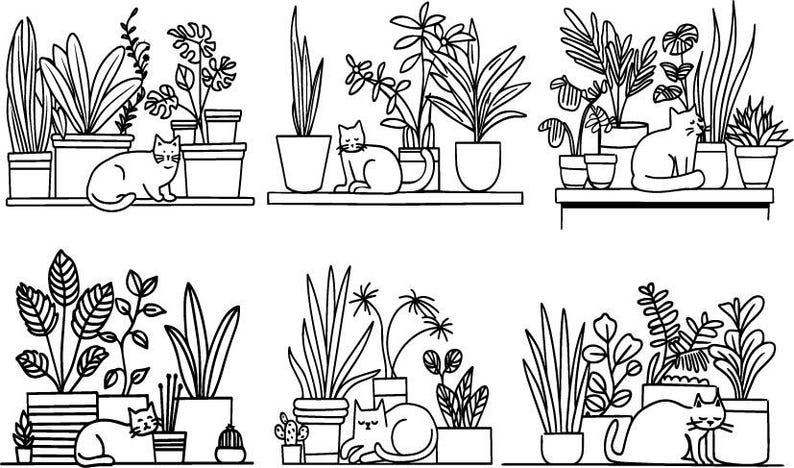 Pu&ograve; includere: Sei illustrazioni in bianco e nero di mensole con piante in vaso e gatti. Ogni mensola ha una disposizione diversa di piante e gatti. I gatti sono tutti rannicchiati o seduti sugli scaffali.