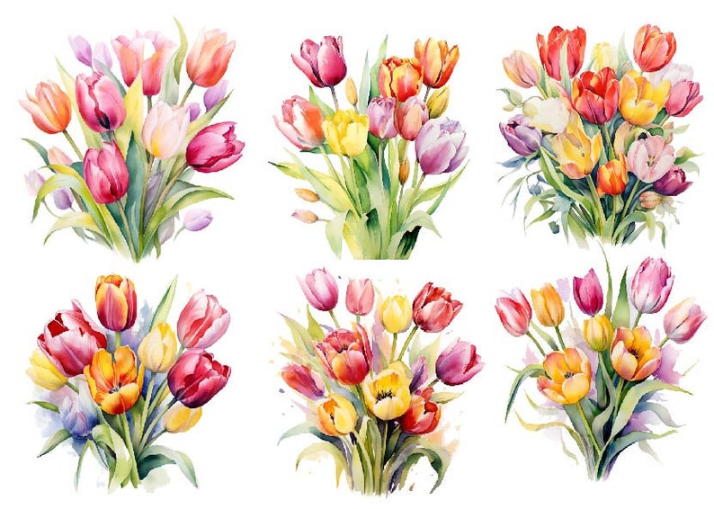 Watercolor Tulips Clipart, Spring Clipart Png, Tulips Clipart Bundle ...