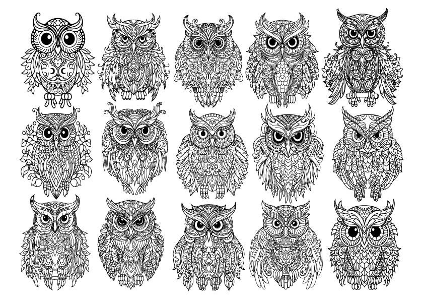  Eule Mandala svg, Eule svg, Eule Clipart, Eule geschnittene Dateien für Bildidee 