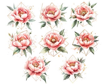 Clipart di peonie rosa acquerello, Clipart di peonie png, Clipart di nozze, Fiori rosa png, Clipart botanico