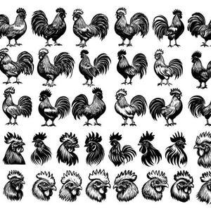 Svg de coq, coq Bundle Svg, Clipart coq, poulet Svg, vecteur de coq, fichiers coupés coq pour Cricut