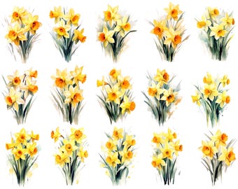 Watercolor Daffodil Clipart, Daffodil Clipart, Watercolor Spring Flowers Png, Spring Clipart