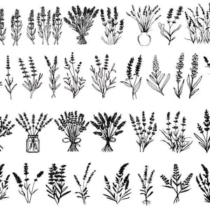 Fleur de lavande Svg, lavande Bundle Svg, Clipart lavande, lavande couper des fichiers pour Cricut, fleurs sauvages Svg