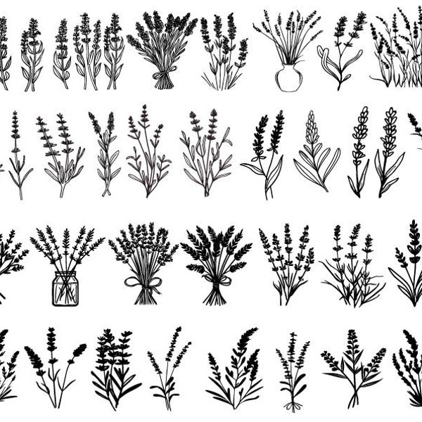 Lavendel Blumen SVG, Lavendel Bundle Schnitt, Lavendel Clipart, Lavendel Schnittdateien für Cricut, Wildblumen Schnitt