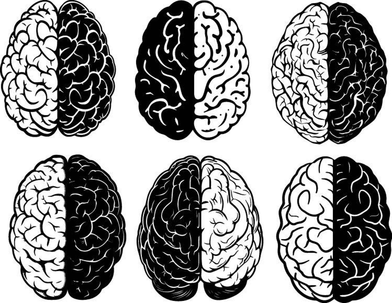 Brain SVG Bundle, Brain Clipart, Brain Cut Files for Cricut, Brain ...