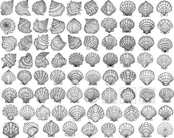 Seashell Svg bundel, Sea Life Svg, nautische Svg, Seashell Clipart, Marine Life Svg, schelpen Vector