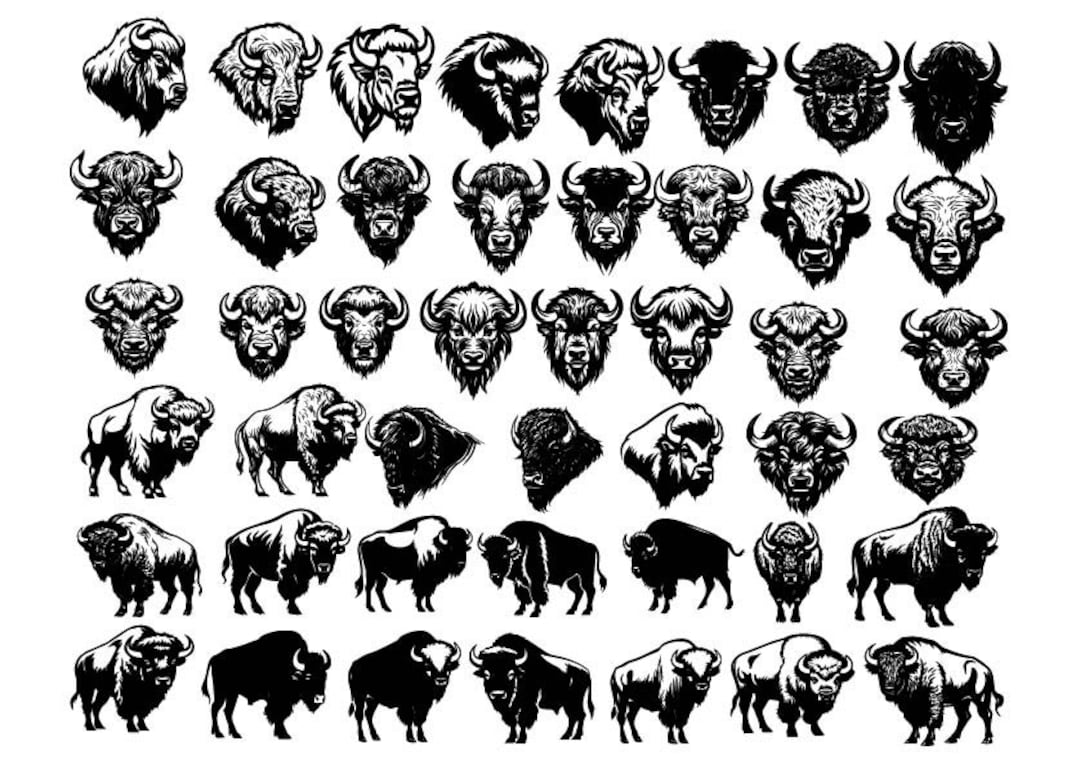 BISON SVG, Bison Svg Bundle, Bison Cut Files for Cricut, Bison Clipart ...